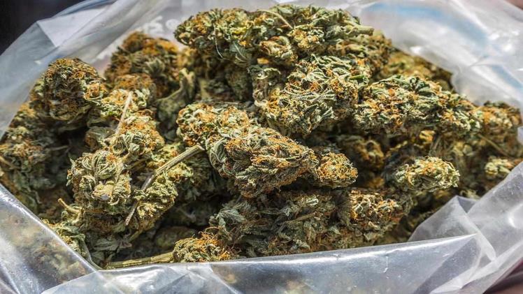 Convenient Ways to Buy Weed Online Across Canada