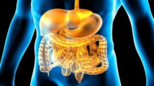 How Your Physician Can Help You Manage Digestion Problems and Acidity?